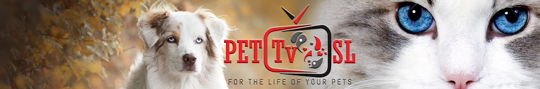 Pet Tv SL