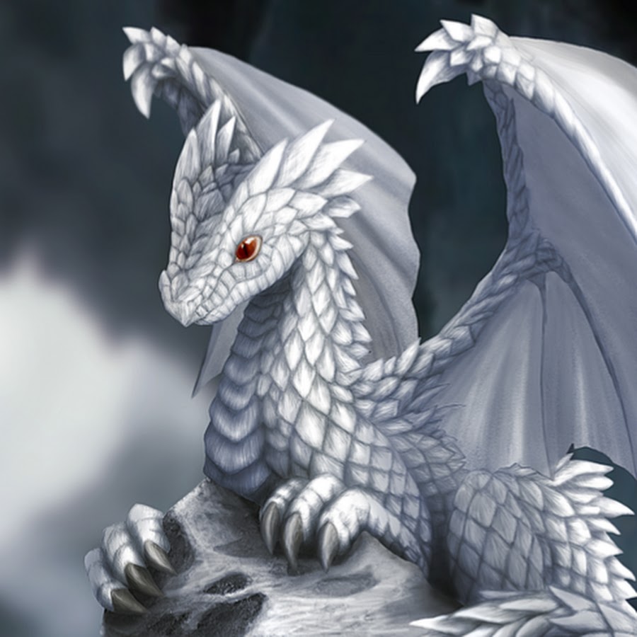 Черный и белый дракон