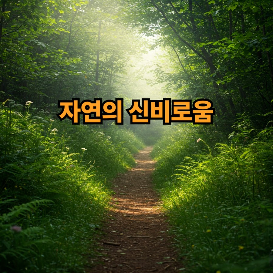 자연의신비로움 - YouTube 자연의신비로움