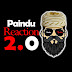 Paindu Reaction 2.0