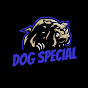 DOG SPECIAL