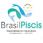 Grupo Brasil Piscis Binacional