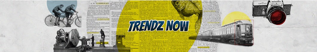 Trendz Now Banner