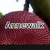 logo Annewalk