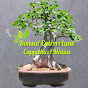 Matias Cappellacci Bonsai Entrerriano.