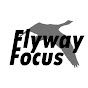 Flyway Focus