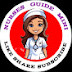 Nurses Guide mini