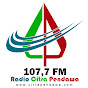 Radio Citra Pendawa