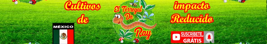 EL TERREGAL DE RAY Banner