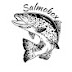 Salmobox