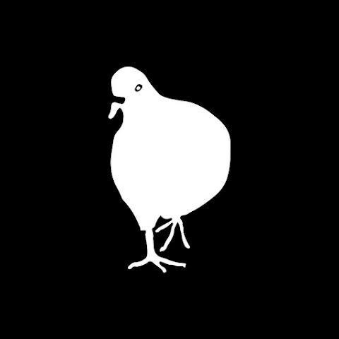 influencer profile picture
