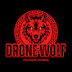 logo Drone Wolf