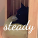 스테디steady