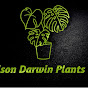 Nelson Darwin Plant Yard