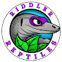 Riddler Reptiles