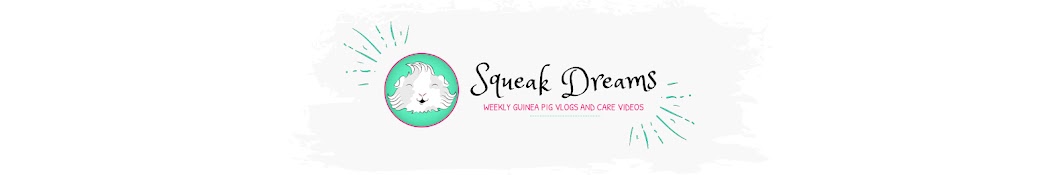 Squeak Dreams Banner