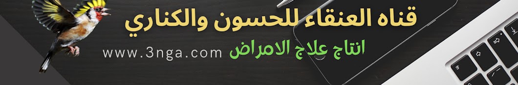 طائر الُِحٍسون / تربية إنتاج علاج الأمراض