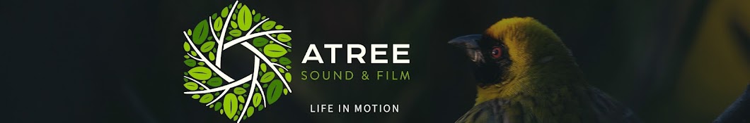 Atree Sound and Film