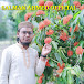 SALMAN AHMED OFFICIAL