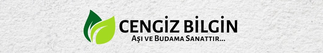 CENGİZ BİLGİN