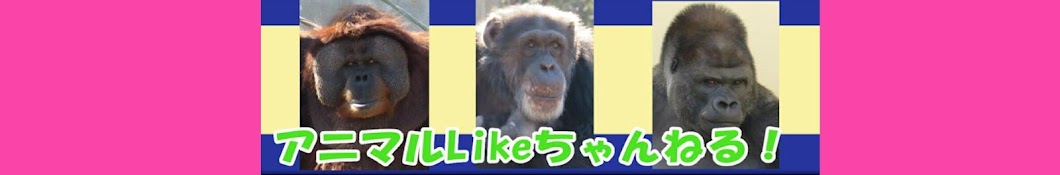 アニマルLikeちゃんねる!