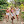 TheCheernastics2 avatar