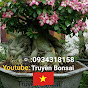 Truyền Bonsai