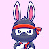 Ninja Rabbit