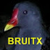 BRUITX