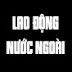 Lao Động Nước Ngoài