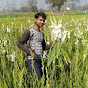 My Agriculture practice