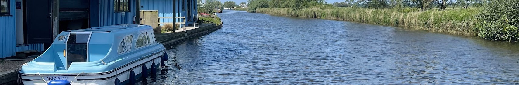 marthamferry2986