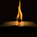 Bible Flame