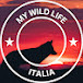 My Wild Life - Italia