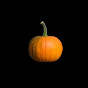 Pumpkin_Seed