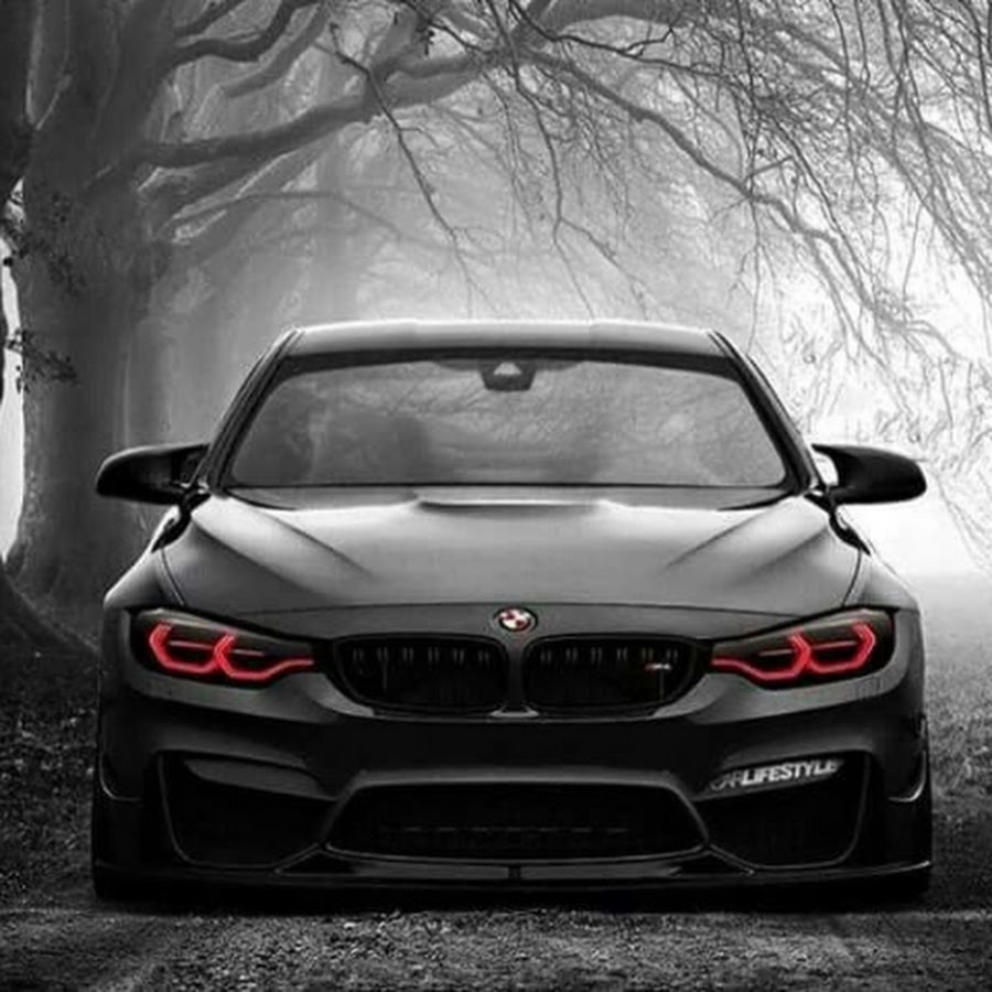 BMW f82 машина в лесу