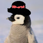 CoolPenguin