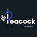 Peacock Multimedia