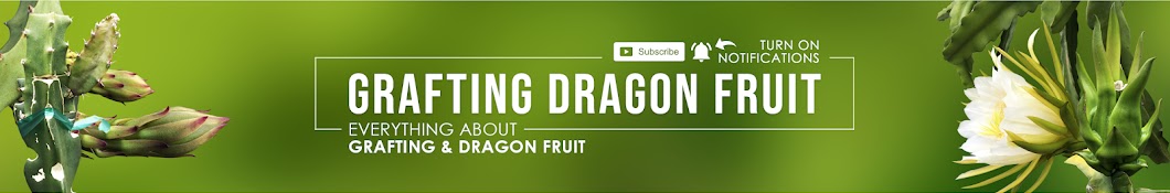 Grafting Dragon Fruit Banner