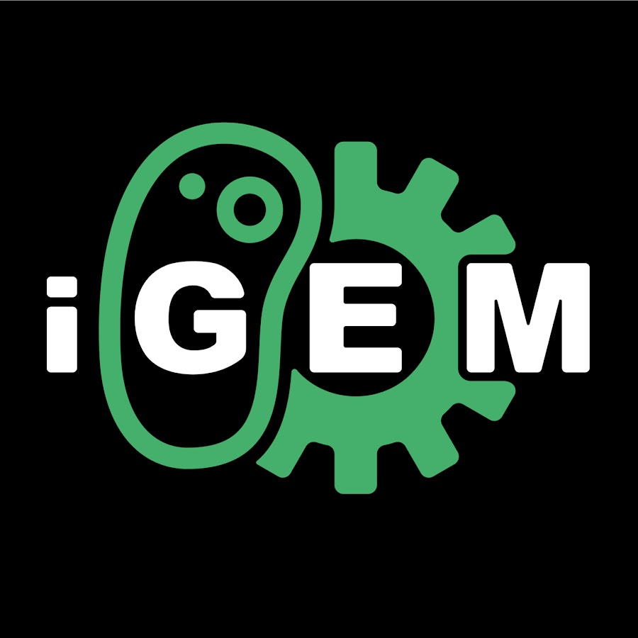 iGEM Startups