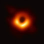 Black Hole Initiative