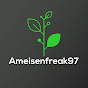 AmeisenFreak97