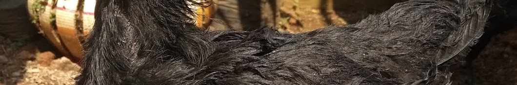 Cemani Cileungsi