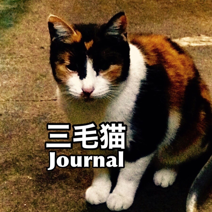 三毛猫Journal - YouTube