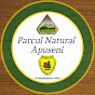 Parcul Natural Apuseni