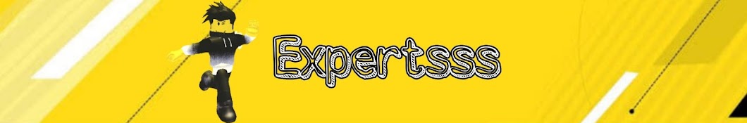 expertsss Banner