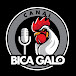 CANAL BICA GALO