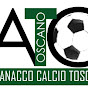 Almanacco del Calcio Toscano