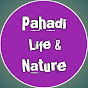 Pahadi Life & Nature