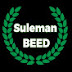 Suleman BEED 